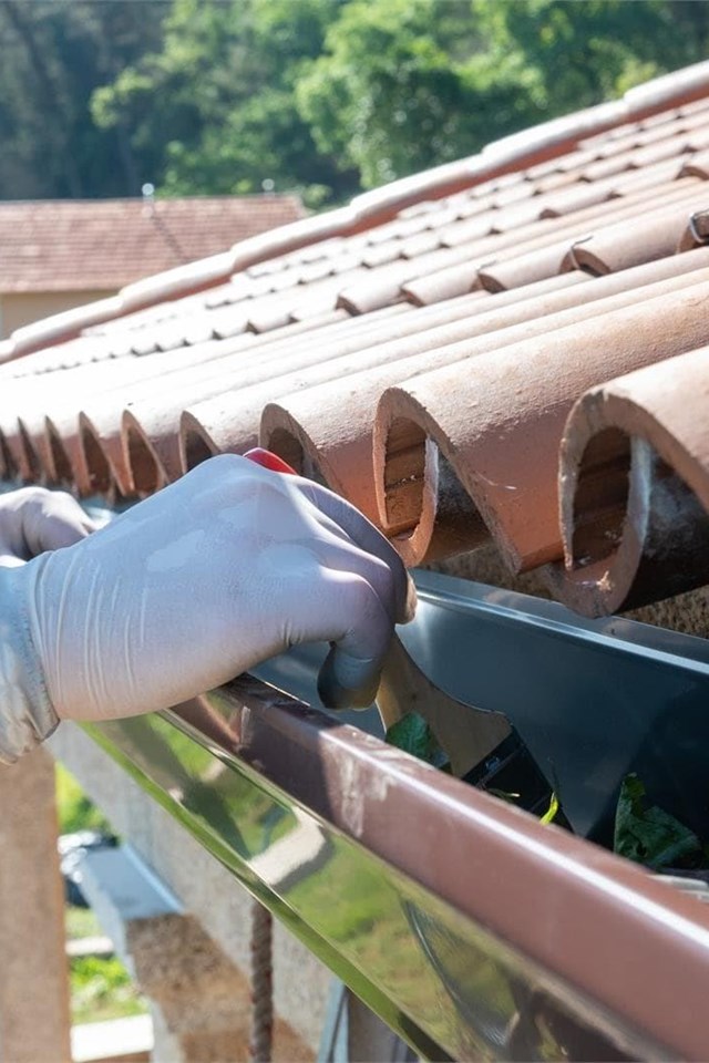 Cómo afecta la falta de mantenimiento de los canalones